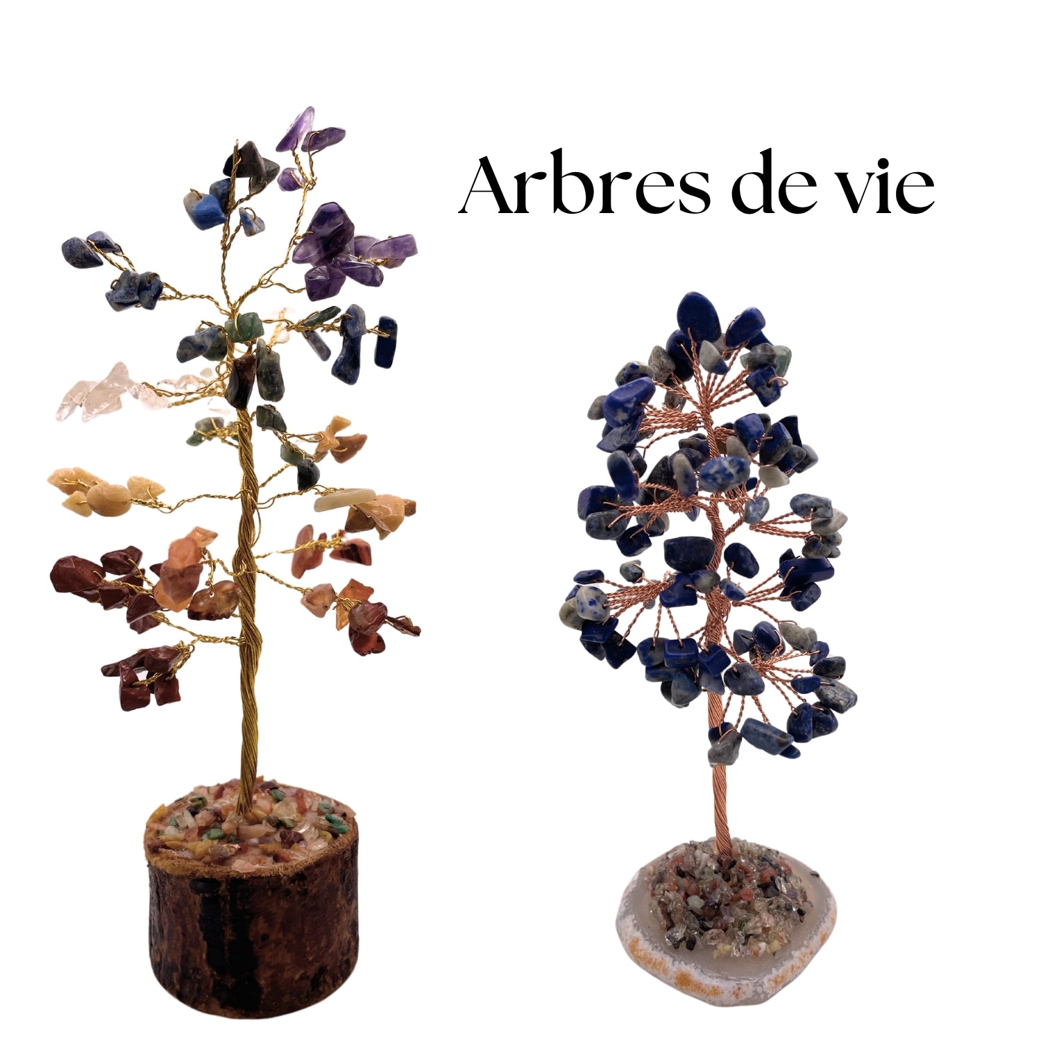 Arbres de vie