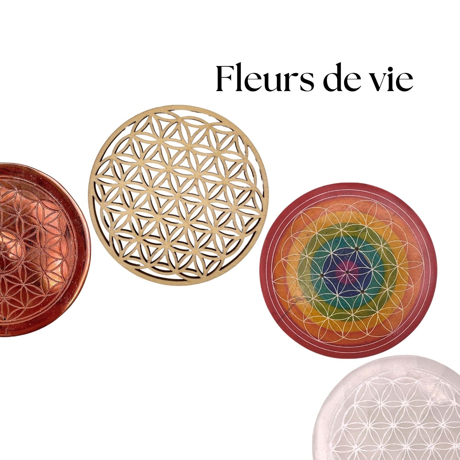 Fleurs de vie
