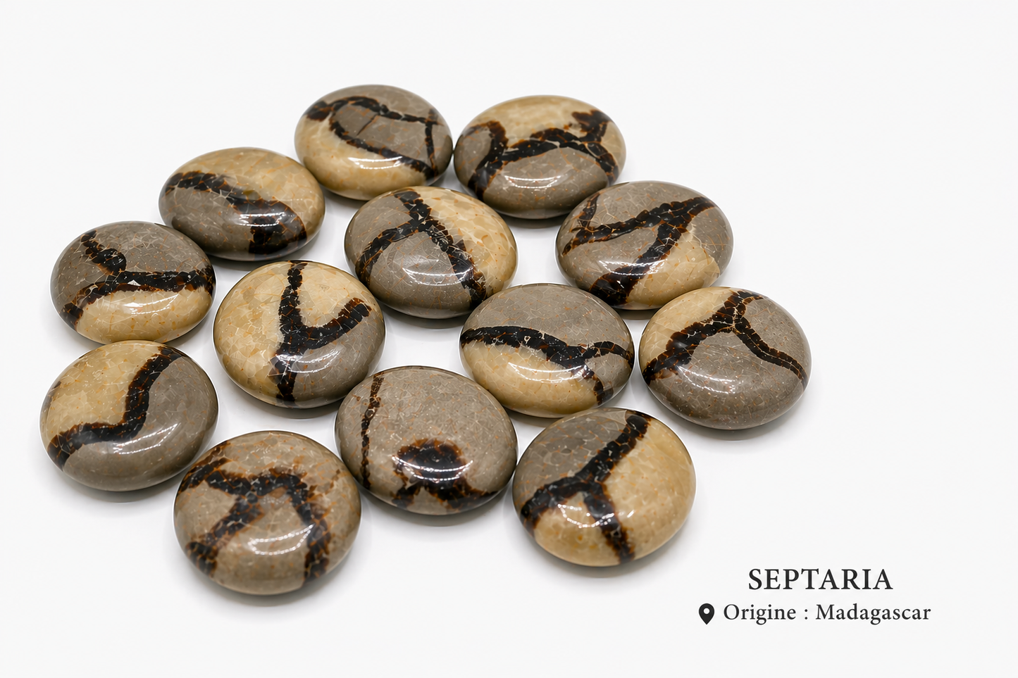 Septaria pierre roulée