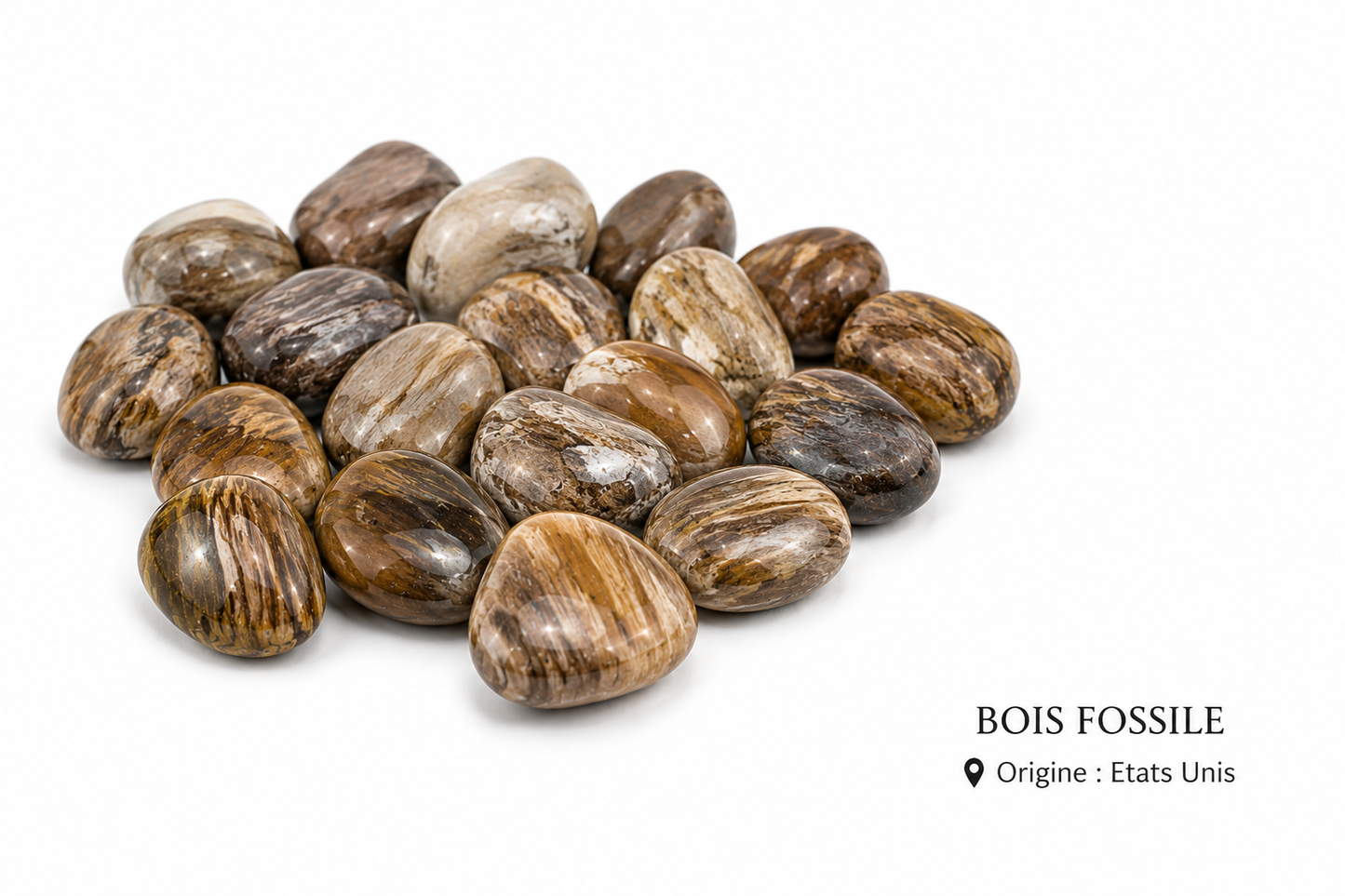 Bois fossile pierre roulée