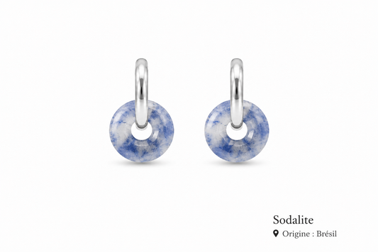 Boucles d'oreilles donut